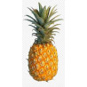 Pineapple Blast