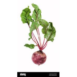 Juicy Beets.