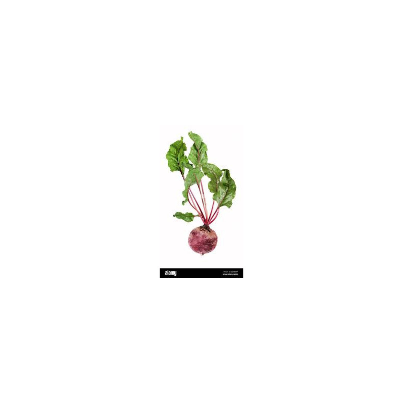 Juicy Beets.