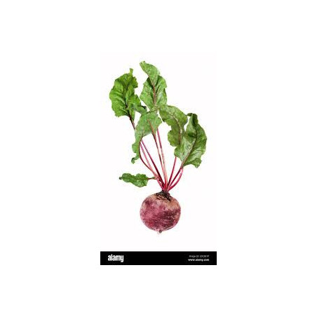 Juicy Beets.