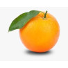 Tangy Orange
